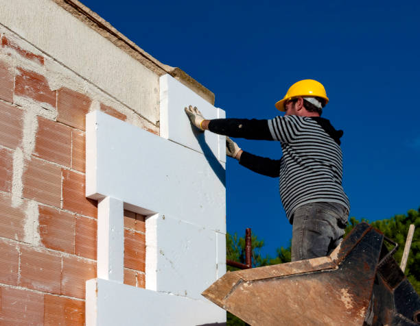 Best DIY Insulation Kits and Guidance in Walton, KY
