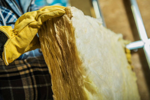 Best Specialized Insulation Services in Walton, KY